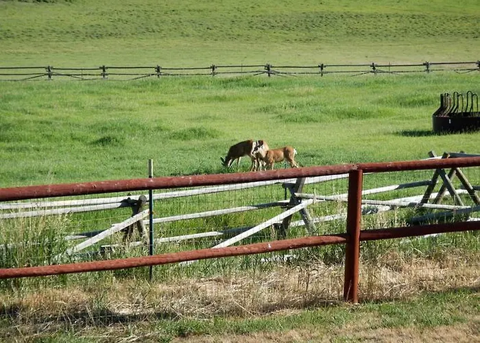 Holiday home Rustic With Breakfast Near Shoshone National Forest, Wyoming *
